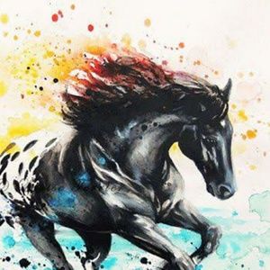 Meet your Posher, Jamie lee